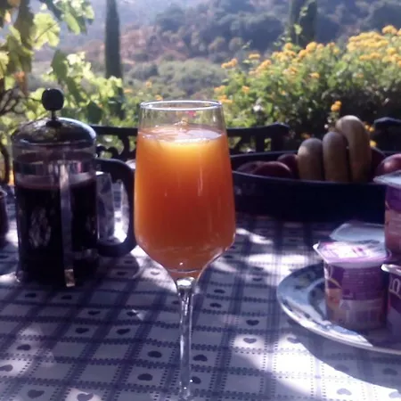 Huerta De Nelson Monda